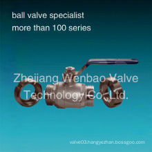 Double Union Ss304 Ss316 2-PC Male Thread Ball Valve